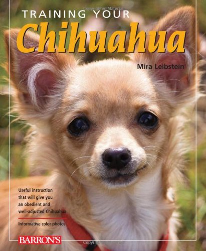Training Your Chihuahua