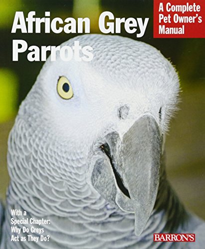 African Grey Parrots