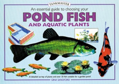 An Essential Guide to Choosing Your Pond Fish and Aquatic Plants