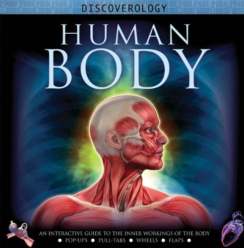 Human Body
