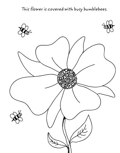 Doodle Bug