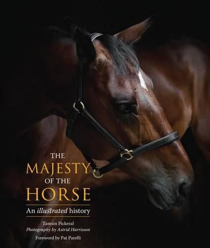 The Majesty of the Horse