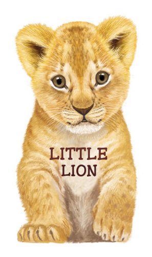 Little Lion