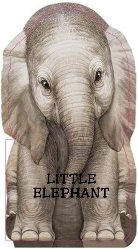 Little Elephant