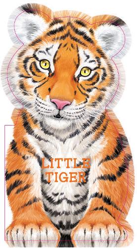 Little Tiger