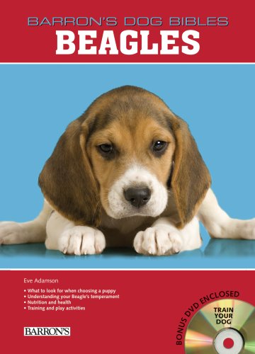 Beagles