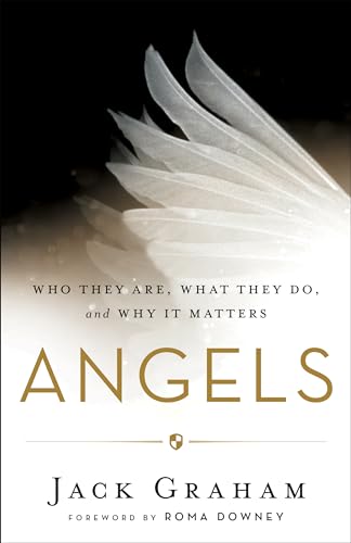 Angels  Who They Are, What They Do, and Why It Matters