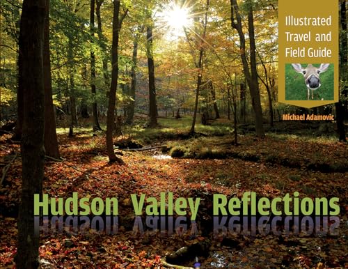 Hudson Valley Reflections