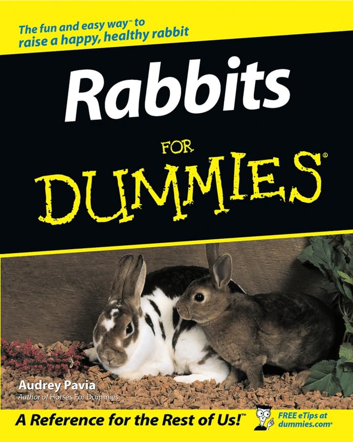 Rabbits for Dummies