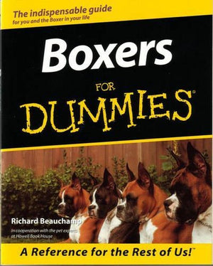 Boxers for Dummies