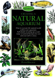 Creating a Natural Aquarium 