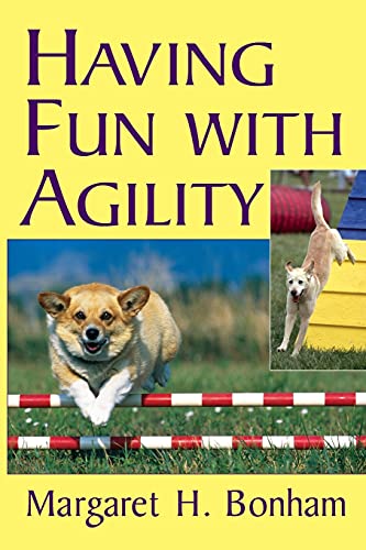 Having Fun with Agility without Competition