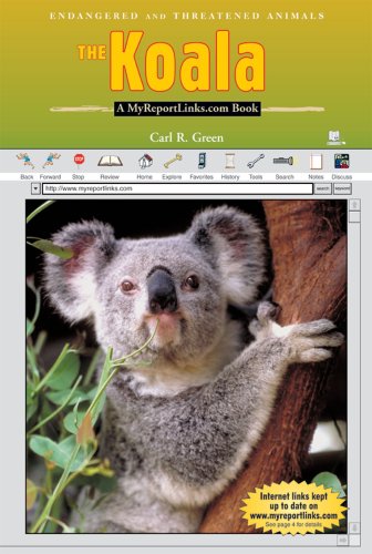 The Koala