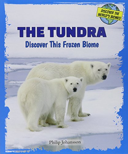 The Tundra