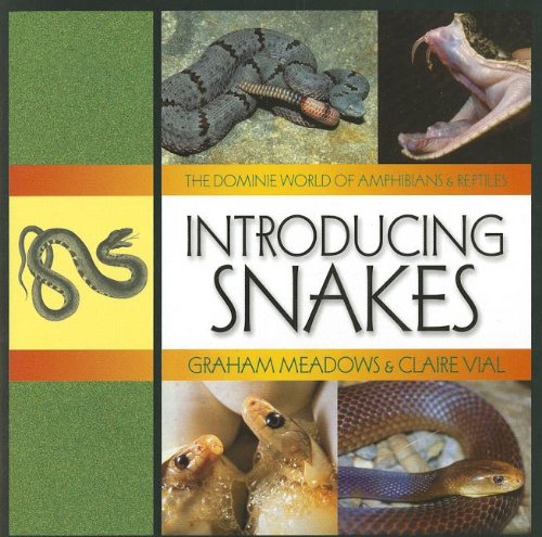 Introducing Snakes