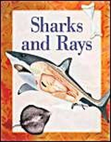 Sharks and Rays