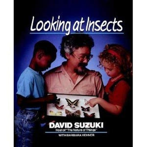 Looking at Insects 