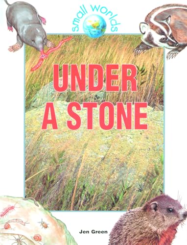 Under a Stone