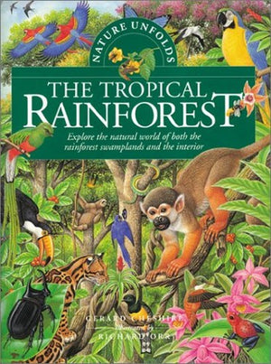 Nature Unfolds the Tropical Rainforest