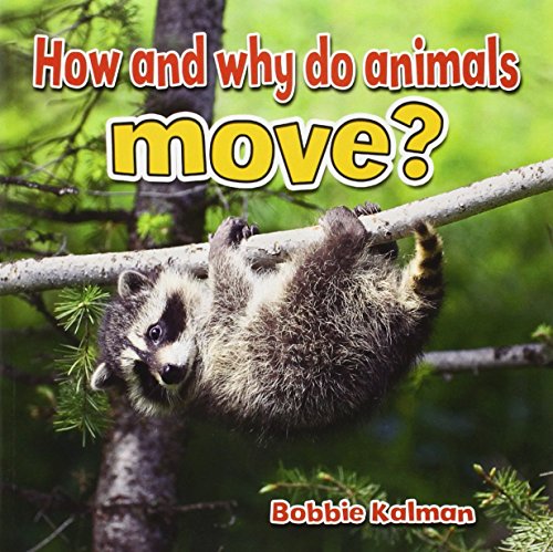 How and Why Do Animals Move