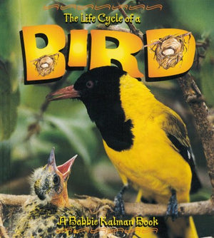 The Life Cycle of a Bird