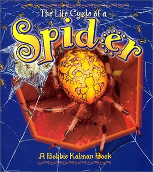 The Life Cycle of the Spider