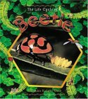 The Life Cycle of the Beetle