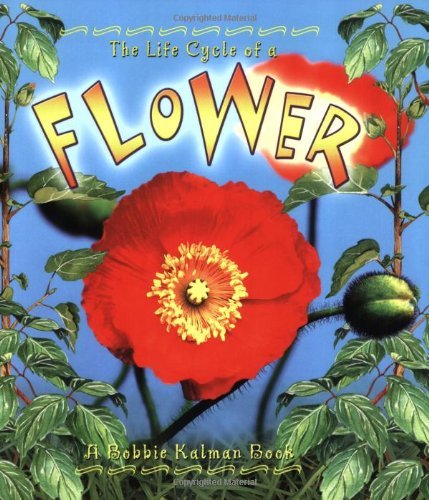 The Life Cycle of the Flower