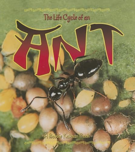The Life Cycle of the Ant