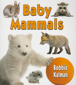 Baby Mammals