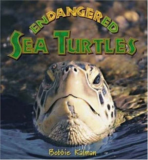 Endangered Sea Turtles