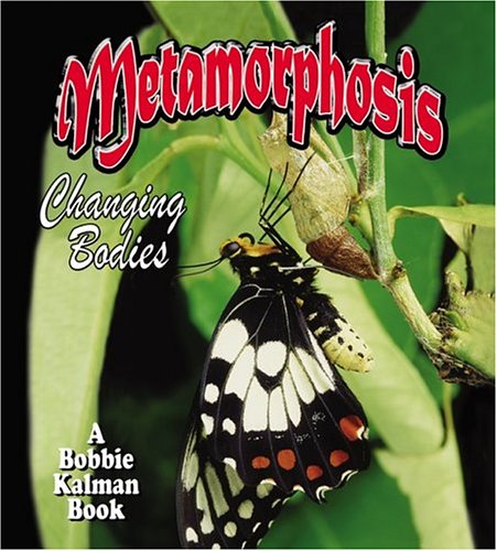 Metamorphosis