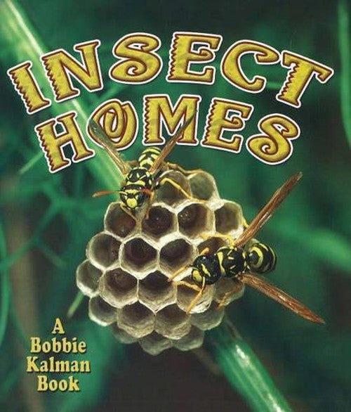 Insect Homes