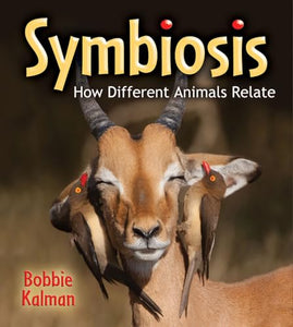 Symbiosis 