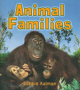 Animal Families 