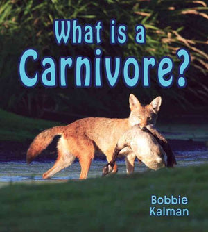 What is a Carnivore