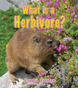 What is a Herbivore 