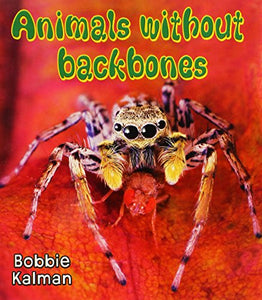 Animals Without Backbones 