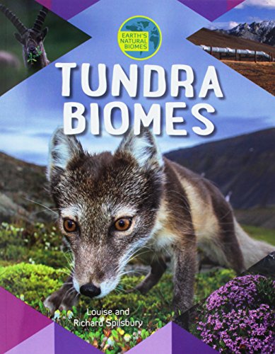 Tundra Biomes