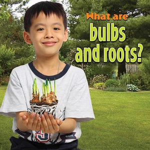 What are bulbs and roots?