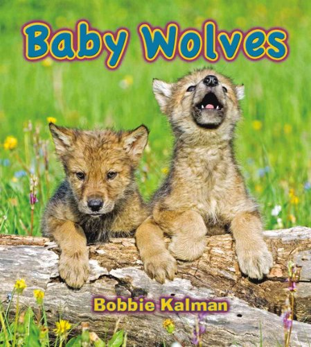 Baby Wolves