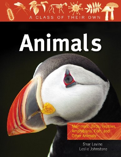 Animals