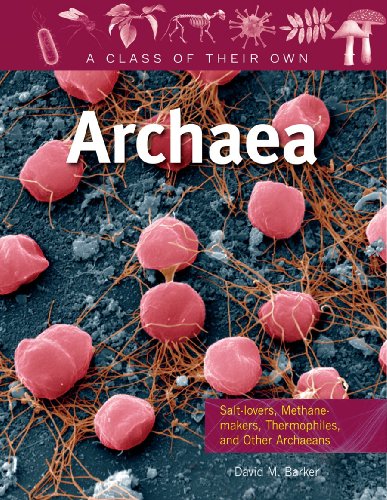 Archaea