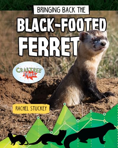 Bringing Back the Black-Footed Ferret