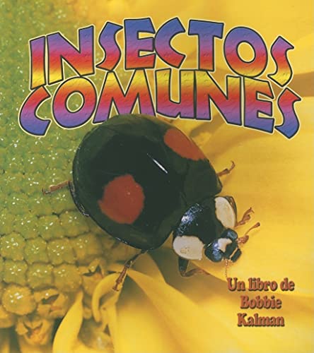 Insectos Comunes