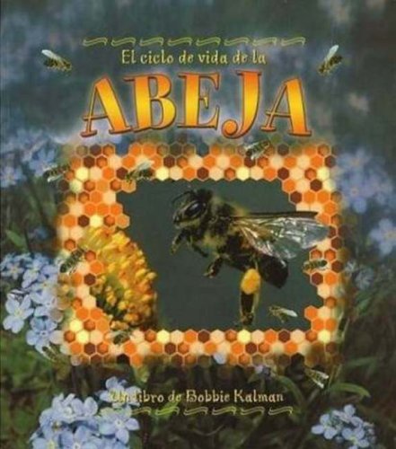 El Ciclo de Vida de Abeja