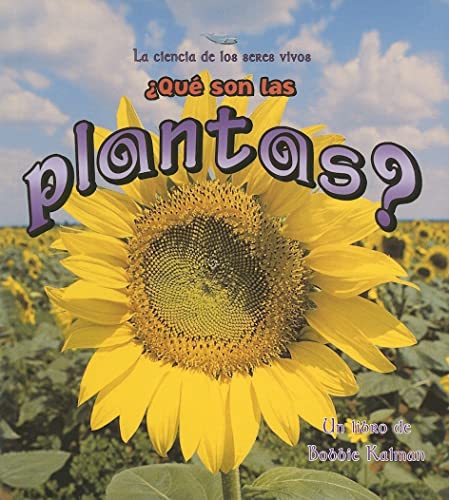 Que son las Plantas?