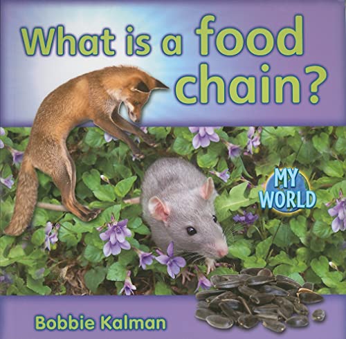 What is a food chain?