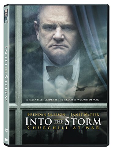 Into the Storm [DVD] [Region 1] [US Import] [NTSC]