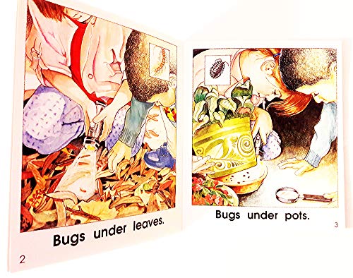 Bug-watching (TWiG books, nonfiction set B)